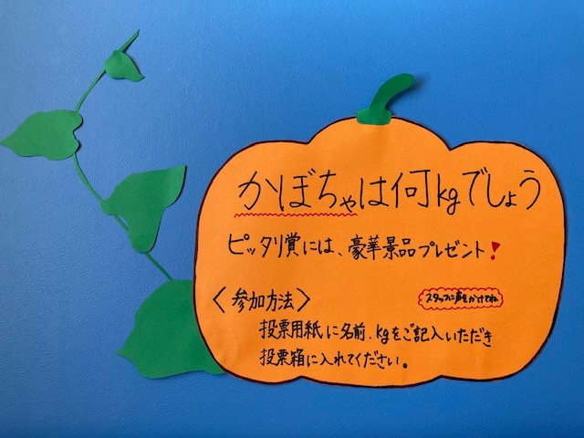 投票用紙に記入して投票箱へ


これからも新型コロナウイルス感染拡大防止対策を行い

安心して来院され安全な施術を受けて頂けるようスタッフ一同取り組んでまいります。