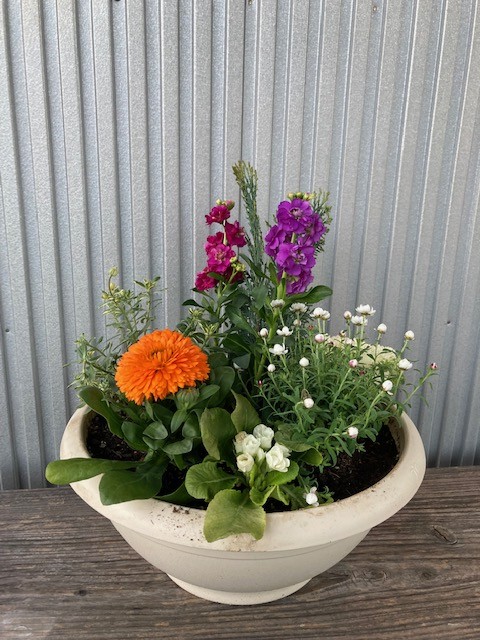 一年間　 お花 のレンタル　ありがとうございました。　患者様に喜んでいただけました。