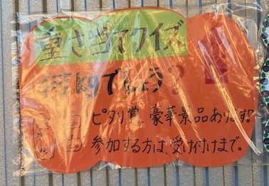 好評　ジャンボかぼちゃ　重さ当てにご参加ください。