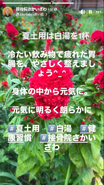 夏土用は「白湯」で体を整えましょう