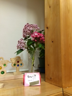 カルニアを頂きました。