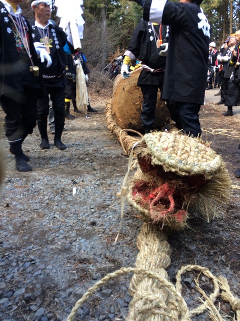 第５０回　御射山神社　御柱祭　山出し