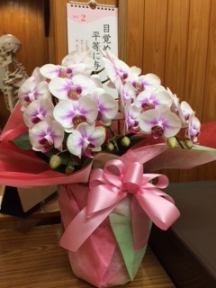  お花 をいただきました。