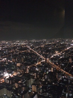 素晴らしい夜景でした。
皆様もいかがですか？
