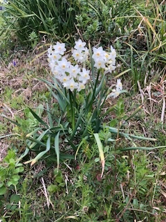 季節のメニュー