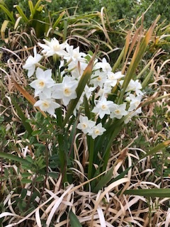 季節のメニュー